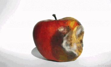 游戏专题 第71页