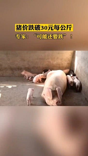 港澳新闻 第52页