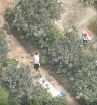 游戏专题 第20页