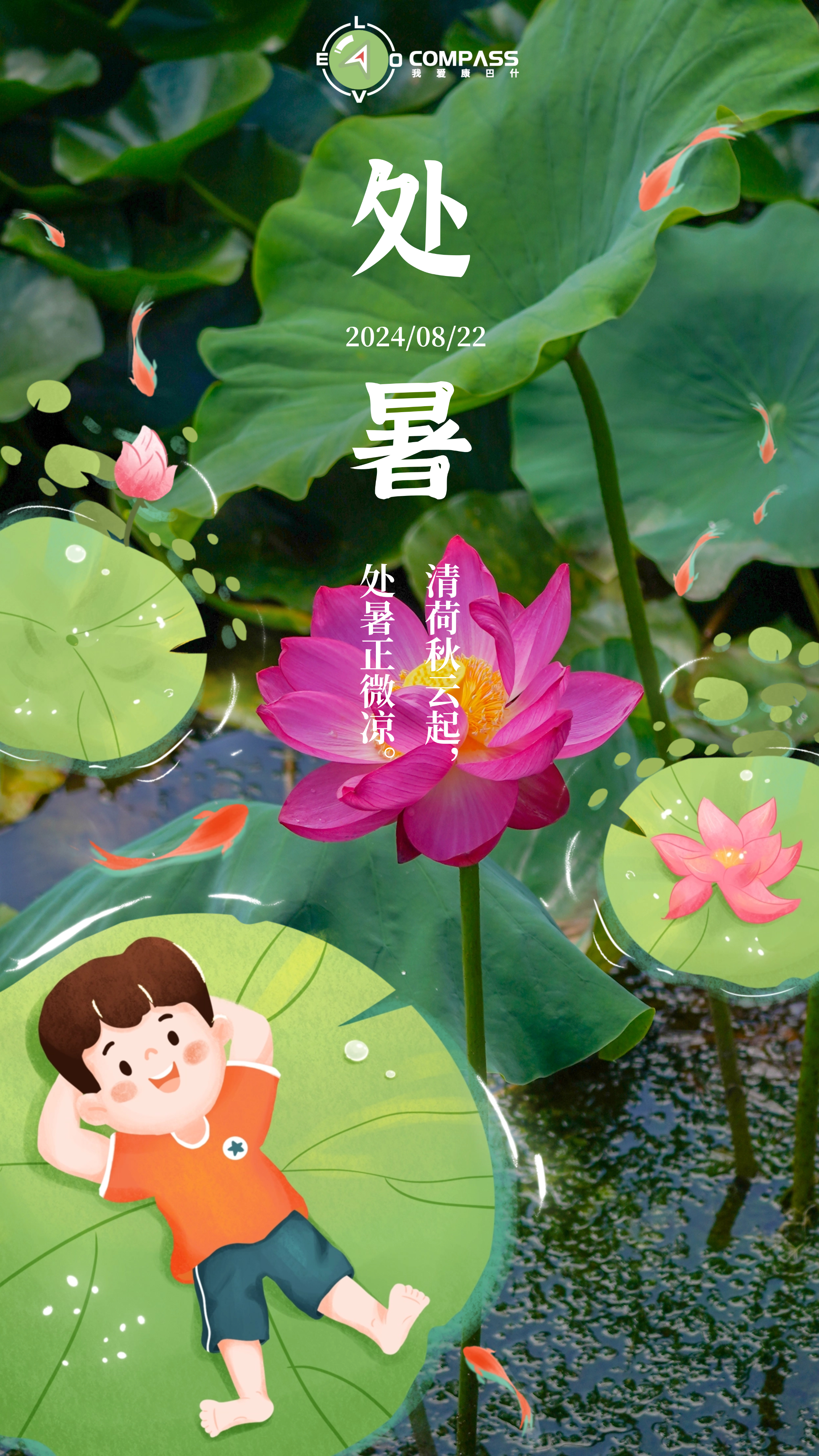 今天处暑今天处暑，节气之美的独特体验与养生之道