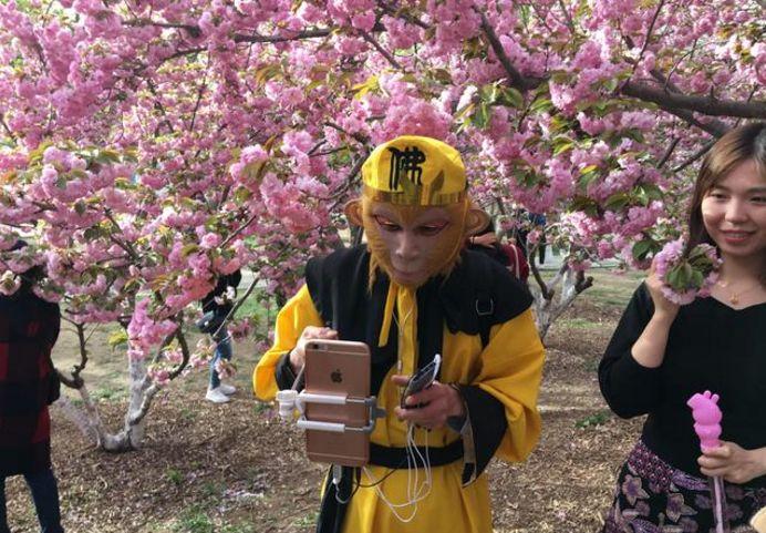 游客被景区保安打伤如果游客在景区被保安打伤，这是一件非常严重的事情，应该立即采取以下措施