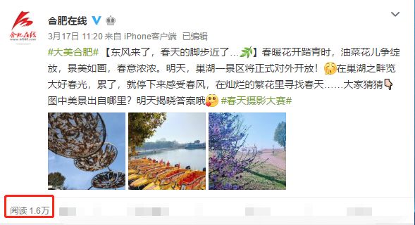 合肥发现最大蝗虫合肥发现罕见巨型蝗虫，生态观察与科普揭秘